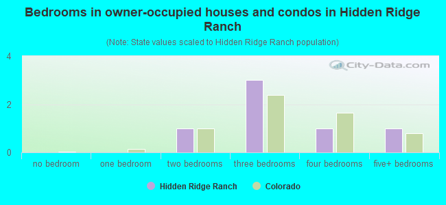 Bedrooms in owner-occupied houses and condos in Hidden Ridge Ranch