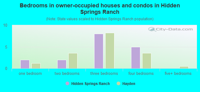 Bedrooms in owner-occupied houses and condos in Hidden Springs Ranch