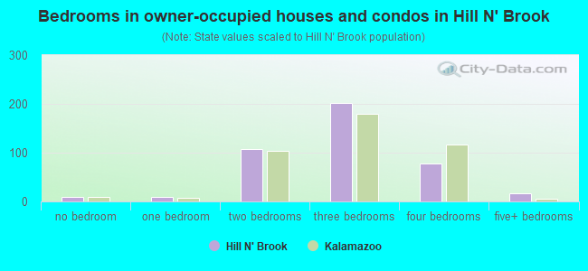 Bedrooms in owner-occupied houses and condos in Hill N' Brook