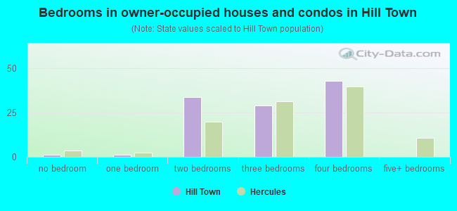 Bedrooms in owner-occupied houses and condos in Hill Town