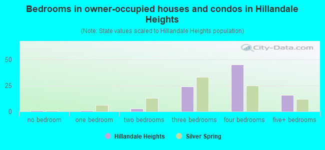 Bedrooms in owner-occupied houses and condos in Hillandale Heights