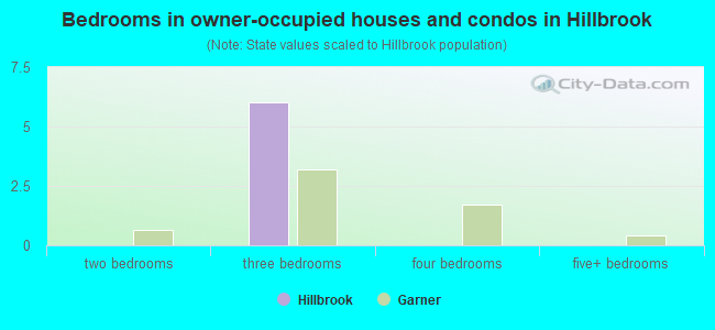 Bedrooms in owner-occupied houses and condos in Hillbrook