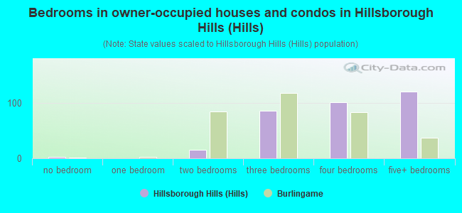 Bedrooms in owner-occupied houses and condos in Hillsborough Hills (Hills)