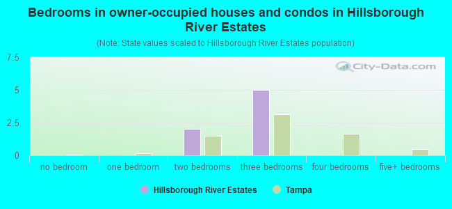 Bedrooms in owner-occupied houses and condos in Hillsborough River Estates