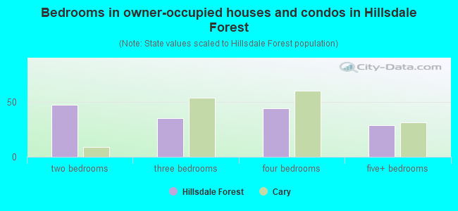 Bedrooms in owner-occupied houses and condos in Hillsdale Forest