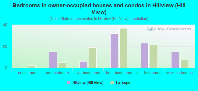 Bedrooms in owner-occupied houses and condos in Hillview (Hill View)