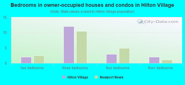 Bedrooms in owner-occupied houses and condos in Hilton Village