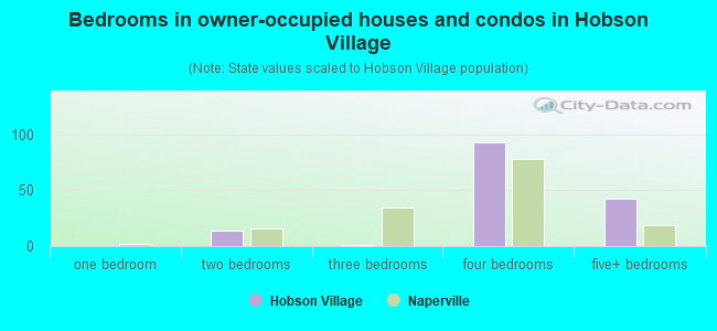 Bedrooms in owner-occupied houses and condos in Hobson Village