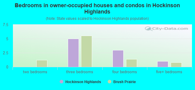 Bedrooms in owner-occupied houses and condos in Hockinson Highlands