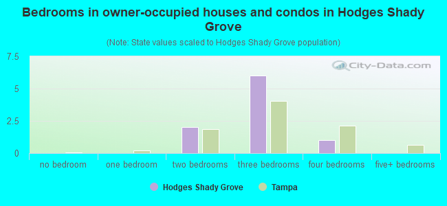 Bedrooms in owner-occupied houses and condos in Hodges Shady Grove