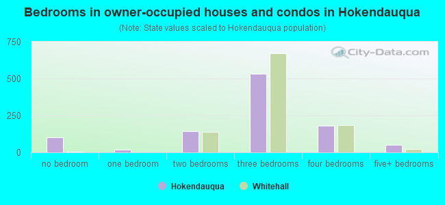 Bedrooms in owner-occupied houses and condos in Hokendauqua