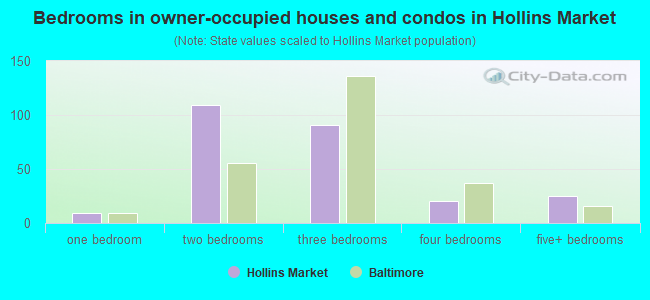 Bedrooms in owner-occupied houses and condos in Hollins Market