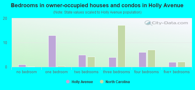 Bedrooms in owner-occupied houses and condos in Holly Avenue