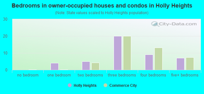 Bedrooms in owner-occupied houses and condos in Holly Heights