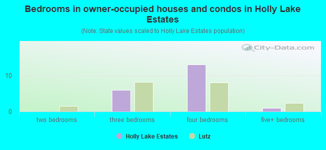 Bedrooms in owner-occupied houses and condos in Holly Lake Estates