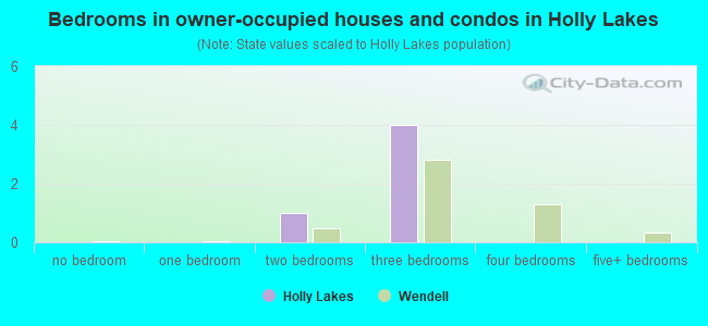 Bedrooms in owner-occupied houses and condos in Holly Lakes