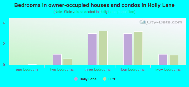 Bedrooms in owner-occupied houses and condos in Holly Lane