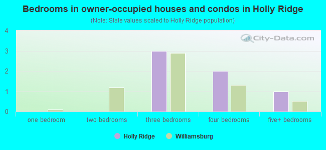 Bedrooms in owner-occupied houses and condos in Holly Ridge