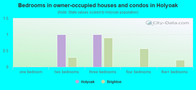 Bedrooms in owner-occupied houses and condos in Holyoak