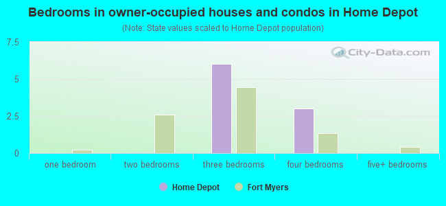 Bedrooms in owner-occupied houses and condos in Home Depot