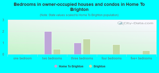 Bedrooms in owner-occupied houses and condos in Home To Brighton