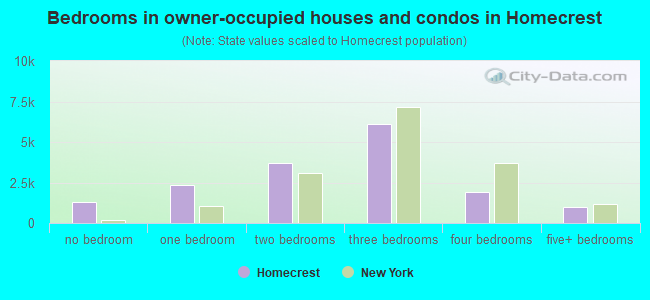 Bedrooms in owner-occupied houses and condos in Homecrest