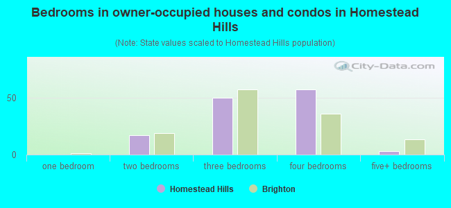 Bedrooms in owner-occupied houses and condos in Homestead Hills
