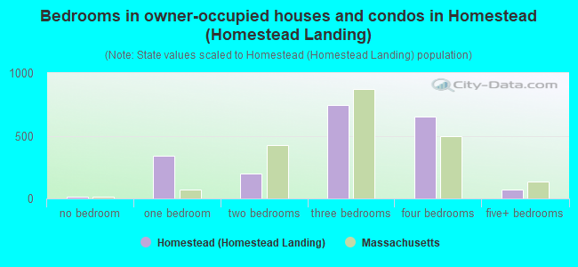 Bedrooms in owner-occupied houses and condos in Homestead (Homestead Landing)