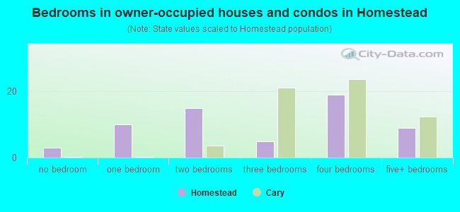 Bedrooms in owner-occupied houses and condos in Homestead