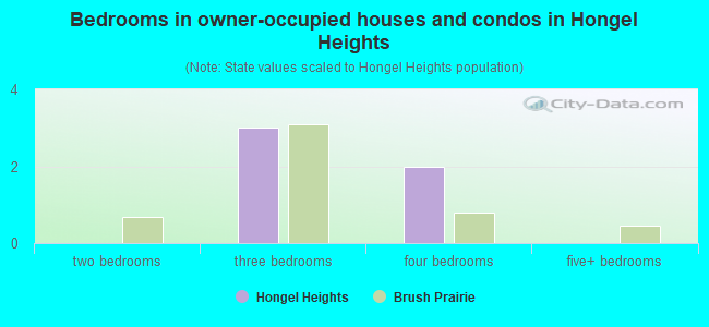 Bedrooms in owner-occupied houses and condos in Hongel Heights