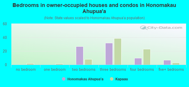 Bedrooms in owner-occupied houses and condos in Honomakau Ahupua`a