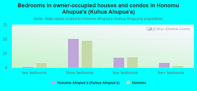 Bedrooms in owner-occupied houses and condos in Honomu Ahupua`a (Kuhua Ahupua`a)