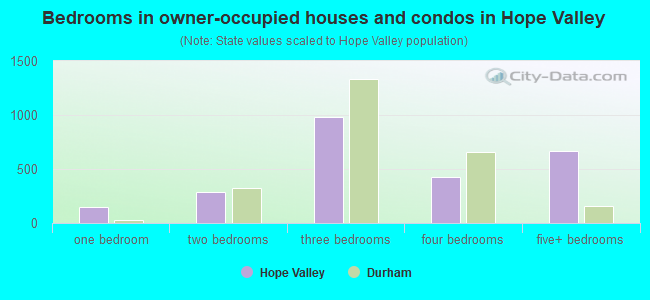 Bedrooms in owner-occupied houses and condos in Hope Valley