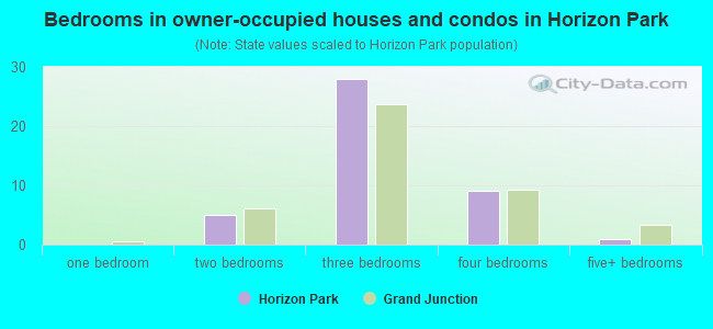 Bedrooms in owner-occupied houses and condos in Horizon Park