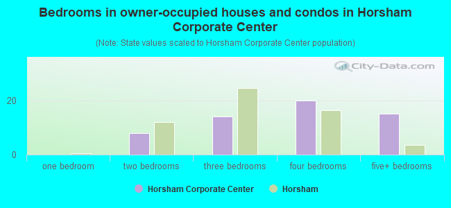 Bedrooms in owner-occupied houses and condos in Horsham Corporate Center