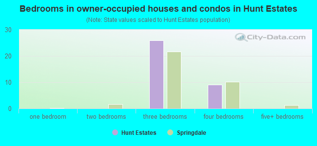 Bedrooms in owner-occupied houses and condos in Hunt Estates