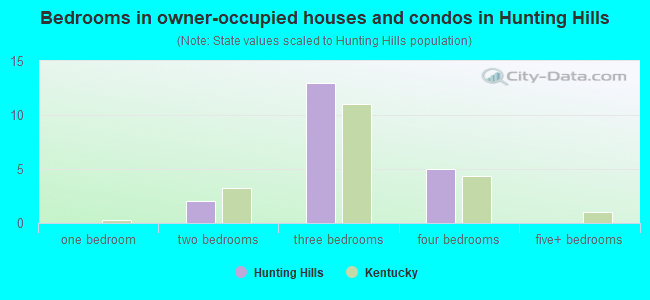 Bedrooms in owner-occupied houses and condos in Hunting Hills