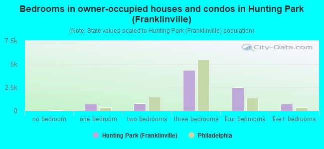 Bedrooms in owner-occupied houses and condos in Hunting Park (Franklinville)