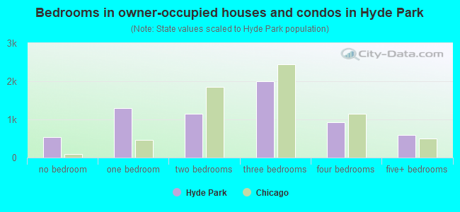Bedrooms in owner-occupied houses and condos in Hyde Park