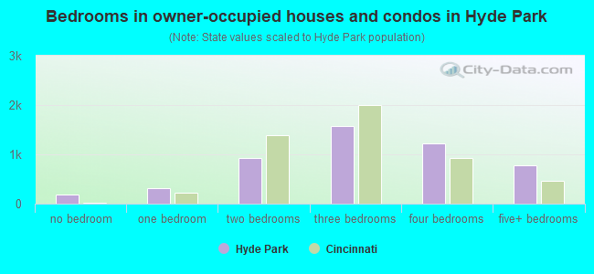 Bedrooms in owner-occupied houses and condos in Hyde Park