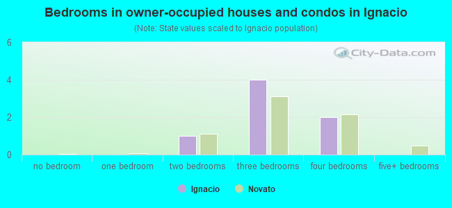 Bedrooms in owner-occupied houses and condos in Ignacio
