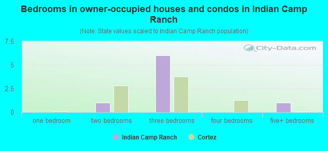 Bedrooms in owner-occupied houses and condos in Indian Camp Ranch