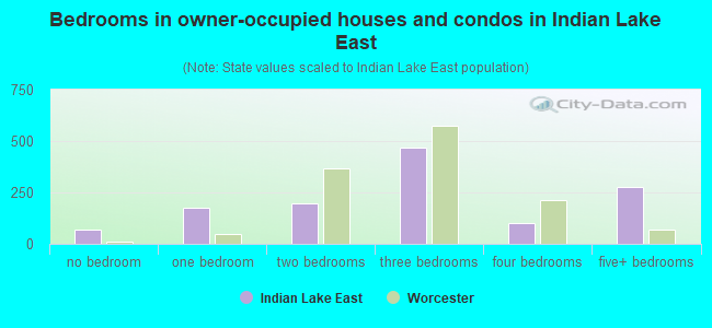 Bedrooms in owner-occupied houses and condos in Indian Lake East