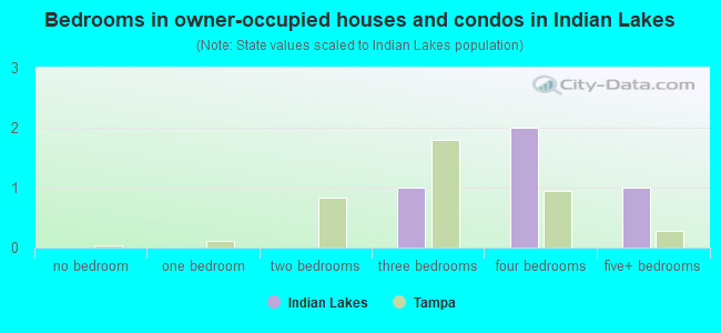 Bedrooms in owner-occupied houses and condos in Indian Lakes