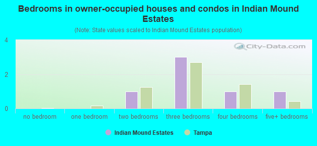 Bedrooms in owner-occupied houses and condos in Indian Mound Estates