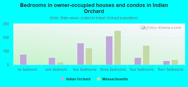 Bedrooms in owner-occupied houses and condos in Indian Orchard