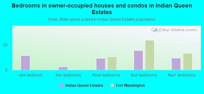 Bedrooms in owner-occupied houses and condos in Indian Queen Estates