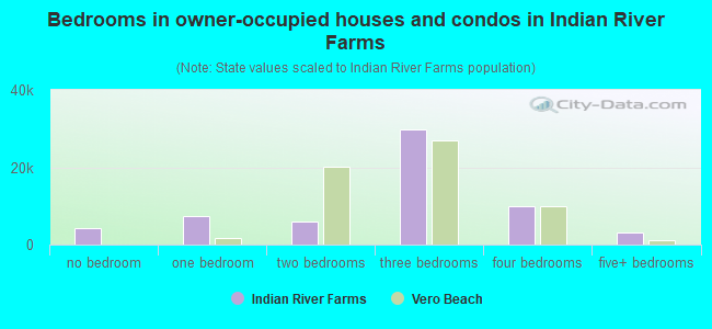 Bedrooms in owner-occupied houses and condos in Indian River Farms