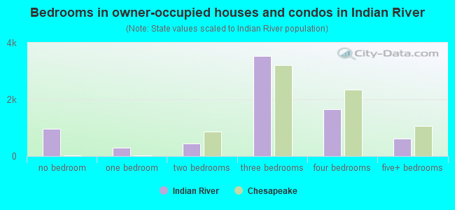 Bedrooms in owner-occupied houses and condos in Indian River