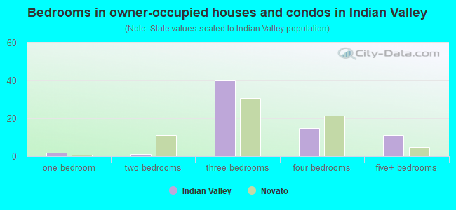 Bedrooms in owner-occupied houses and condos in Indian Valley
